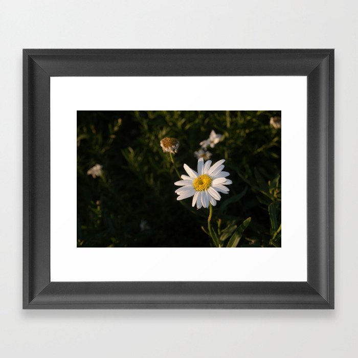 white flower Framed Art Print