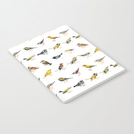 Warbler and Vireo Pattern on White Notebook