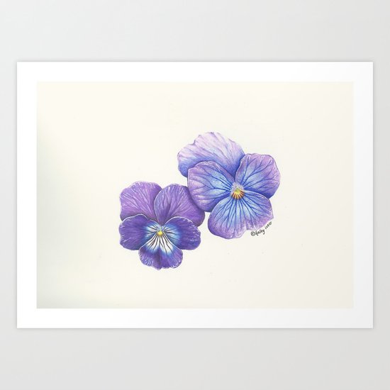 Purple Pansies Art Print