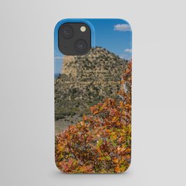 Mesa Verde Gambel Oak  iPhone Case