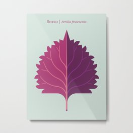 Shiso Leaf Red Purple Metal Print | Sushi, Foodieart, Naturegallery, Nature, Modern, Modernbotanical, Cuisine, Foodseries, Shiso, Purple 