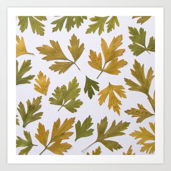 Parsley Autumn Art Print
