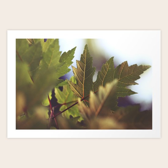 Follow Art Print