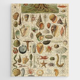 Mollusques by Adolphe Millot Jigsaw Puzzle