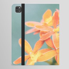 Pastel Tint Of Orchid Epidendrum Radicans Close Up Photography iPad Folio Case