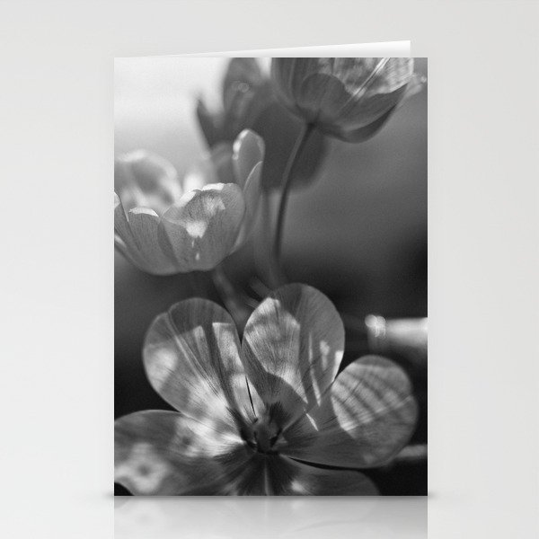 Tulips Stationery Cards