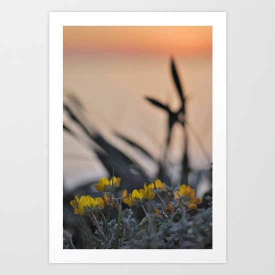 "Yellow flowers looking at sea sunset" Art Print