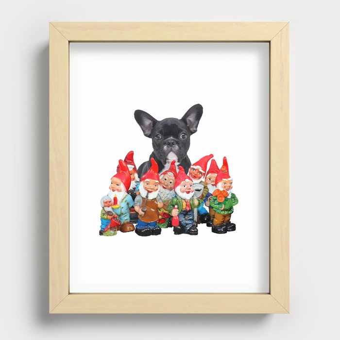 French Bulldog with funny Garden Gnomes Recessed Framed Print