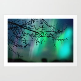 Tree Branch and Aurora Borealis Night Sky Art Print