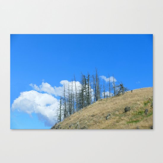 At The End Of The World Canvas Print