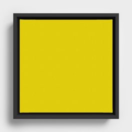 Yellow-Green Daffodil Framed Canvas