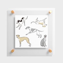 Sighthound Floating Acrylic Print