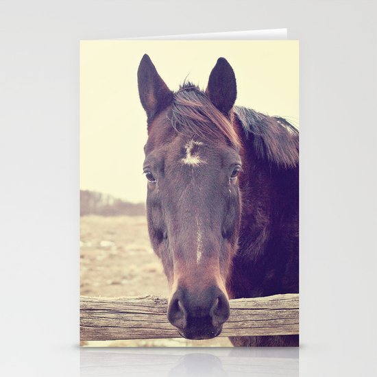 Hello Horse Stationery Cards