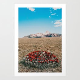 Desert Dream Art Print