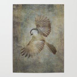 The Mighty Chickadee Poster