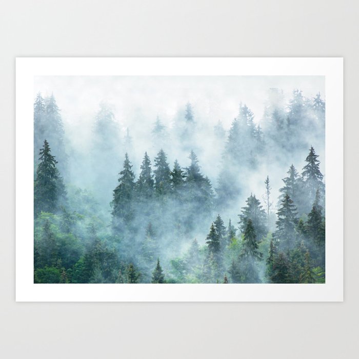 Evergreen Fog Forest Scenic Nature Landscape Art Print