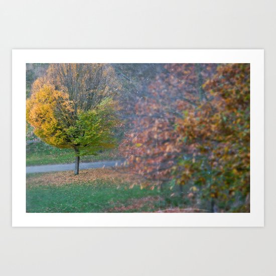 Autumnal Art Print