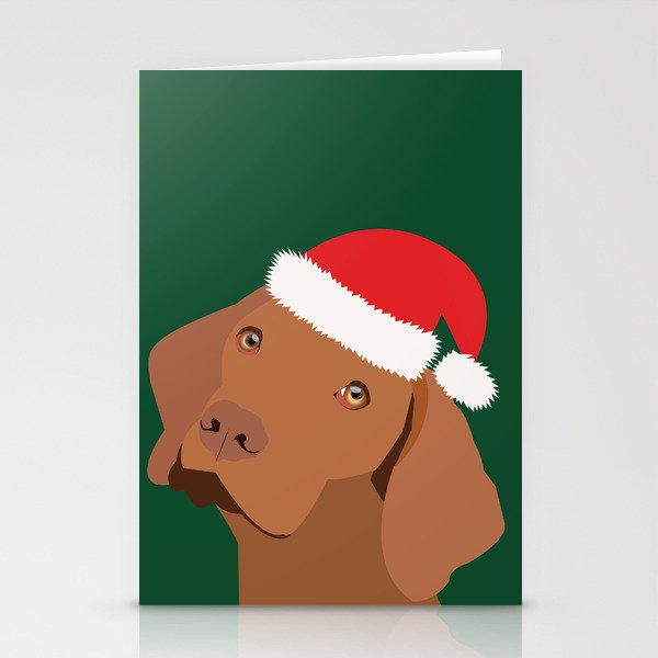 Vizsla stuff 2025