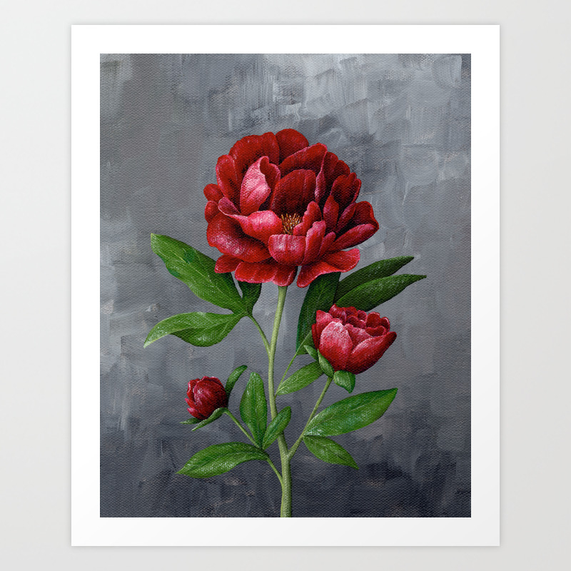 Red Peony Flower Painting Art Print By Hannahpickeringart Society6