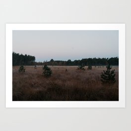 silent mornings Art Print