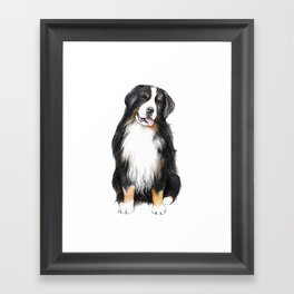 Bernese Mountain Dog Framed Art Print