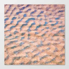 sand dunes impressionism texture Canvas Print