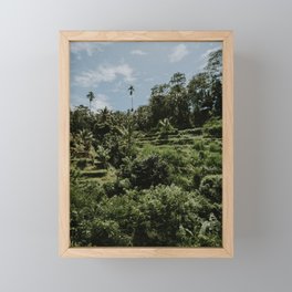 Rice fields - Ubud - Bali Framed Mini Art Print