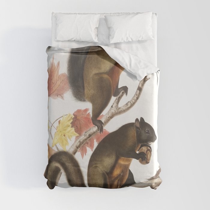 Long-haired Squirrel  from the viviparous quadrupeds of North America (1845) illustrated by john james audubon Duvet Cover
