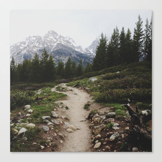 Teton Trail Canvas Print
