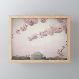Washington DC Cherry Blossoms Framed Mini Art Print