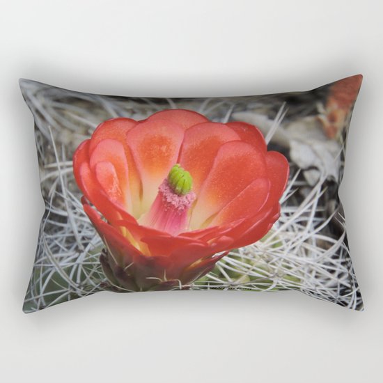 Red Blossom on a Hedgehog Cactus Rectangular Pillow