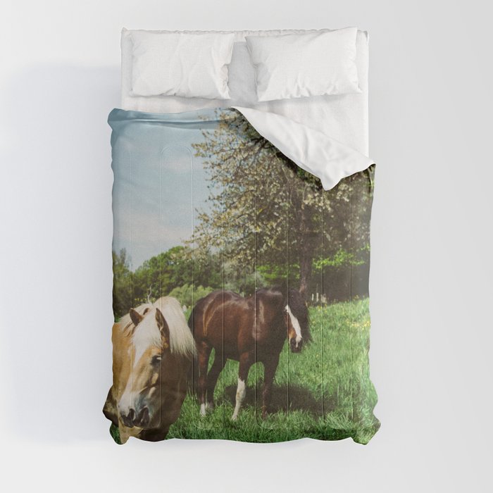 Horses in Pasture | Rural Spring Landscape, Pony Photo | Animal Photography Comforter