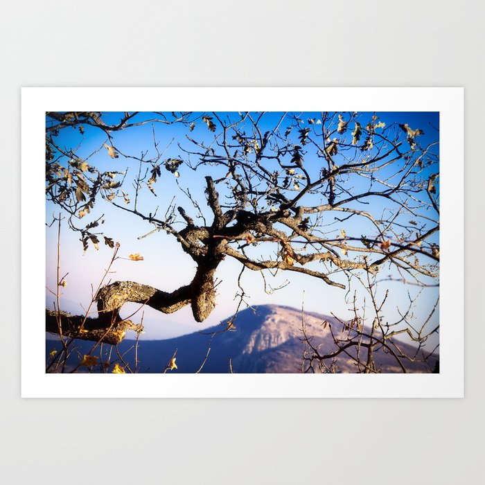 Branch in the mountains Art Print
