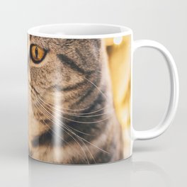 Funny Kitten Scottish Stright Breed Laying Coffee Mug