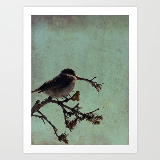 Lone bird Art Print