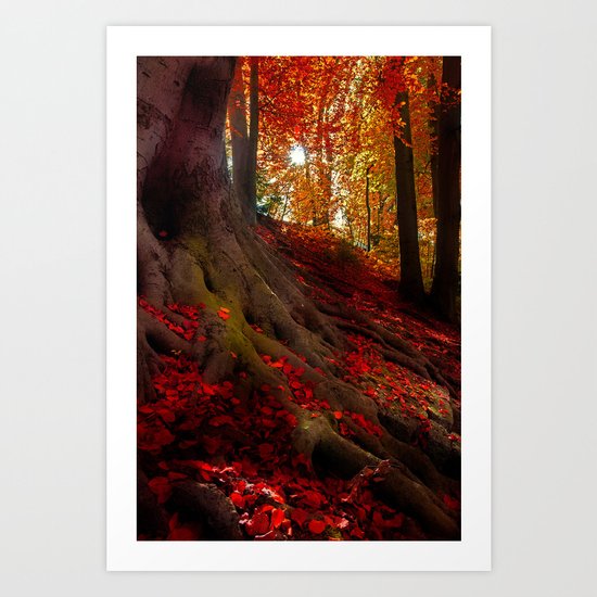 Autumn light Art Print