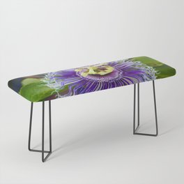 Passion Flower Bench