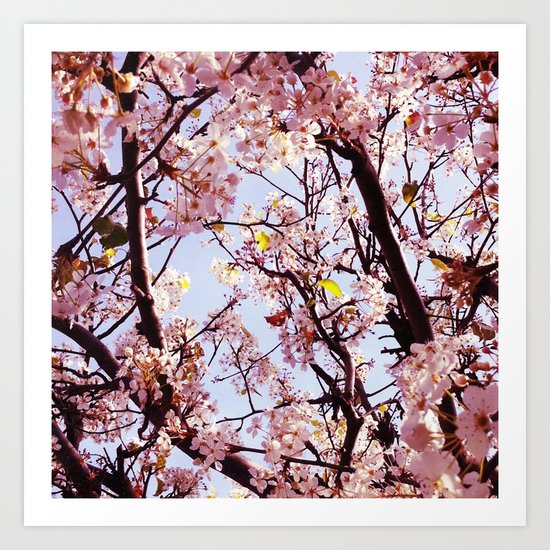 Pink Art Print