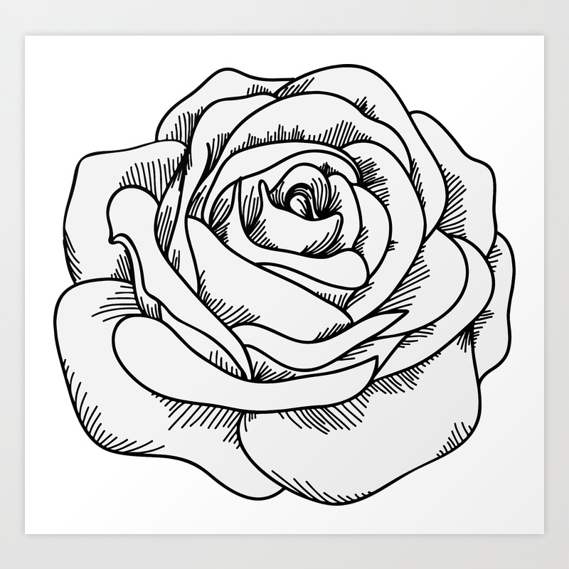 The White Rose Art Print By Venutec Society6