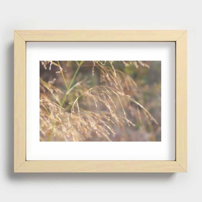 In the Wind Recessed Framed Print