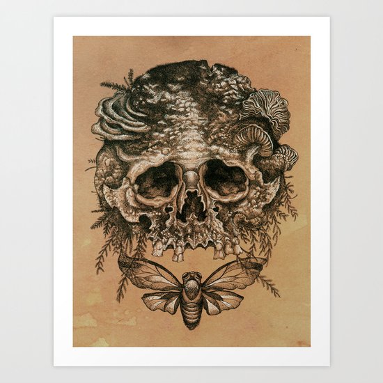Skull with Cicada Art Print