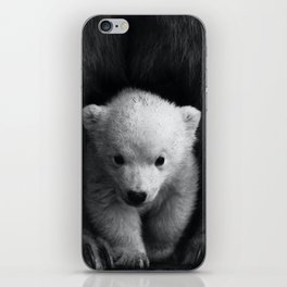 Baby polar bear cub snuggled by mom black and white nature animals photograph - photography - photographs iPhone Skin