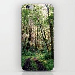 Walk In The Woods iPhone Skin