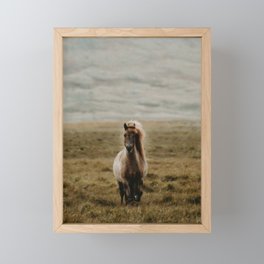 Icelandic Horse Framed Mini Art Print