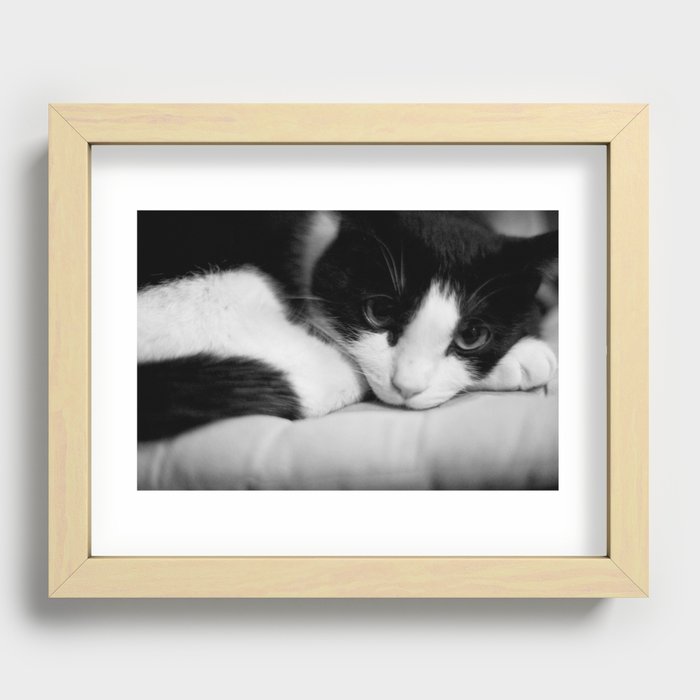 Cat black and white Recessed Framed Print
