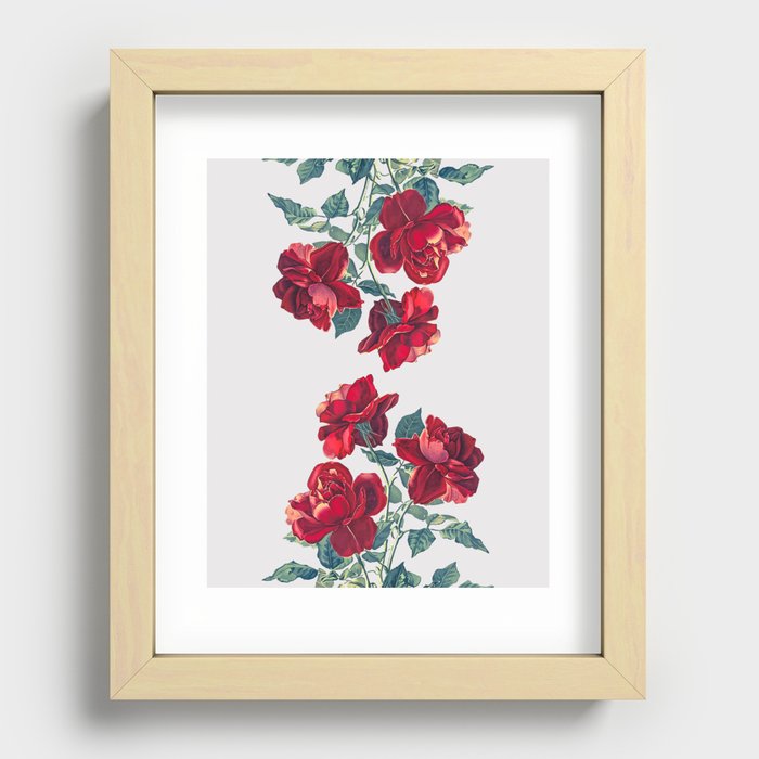 Red Roses Recessed Framed Print