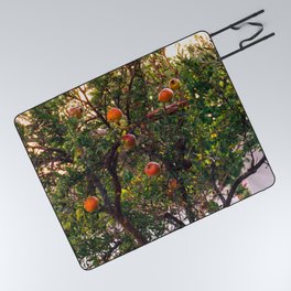 The Pomegranate Tree | Fruit Tree in Greece - Summer Travel Photography on the Greek Islands, Europe Picnic Blanket
