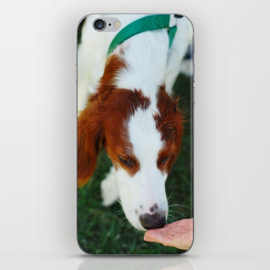 Greet iPhone Skin