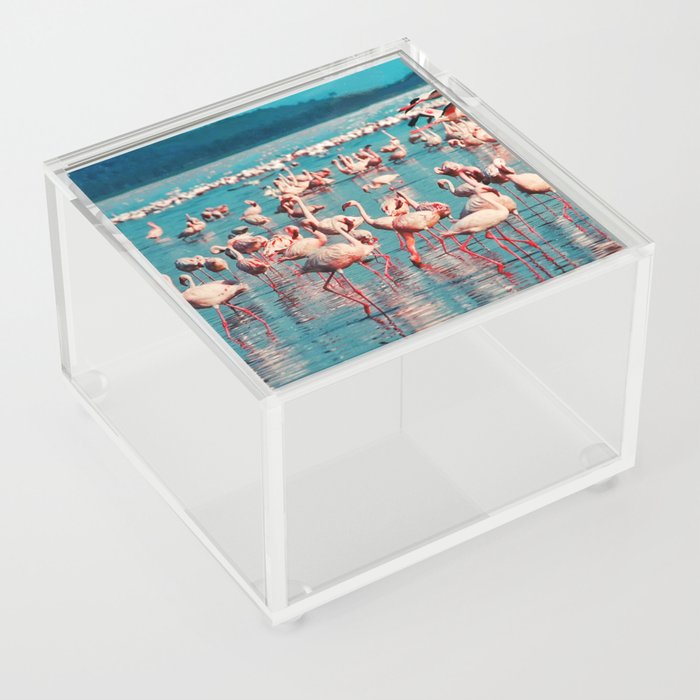 South Africa Photography - Beautiful Pink Flamingos In A Lake Acrylic Box