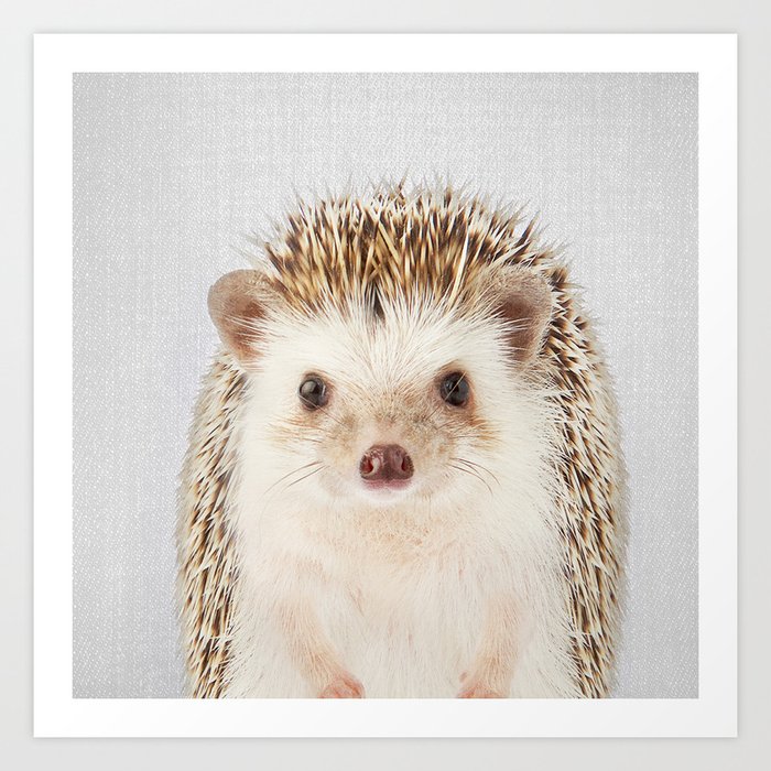 Hedgehog - Colorful Art Print